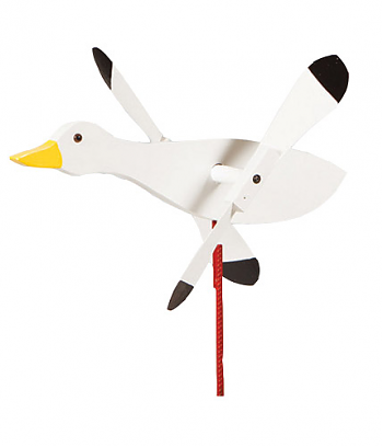 Snow Goose