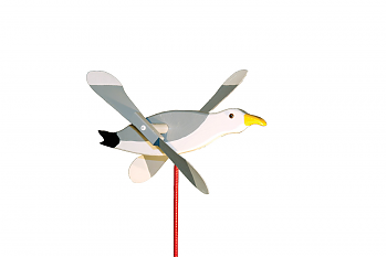 Seagull