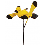 Yellow and Black Bird
