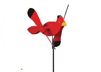 Cardinal