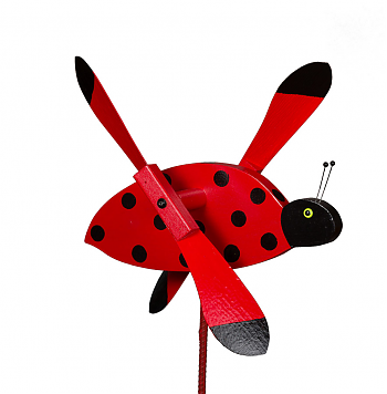 Ladybug