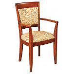 Valet Arm Chair