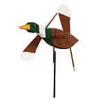 Mallard Duck