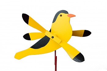 Gold Finch