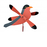 Robin