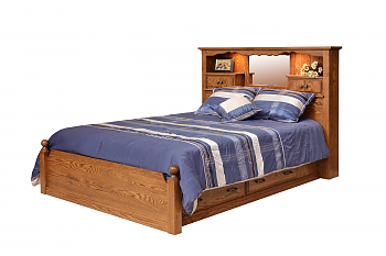 Bookcase Bed