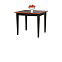 36 x 54 Table